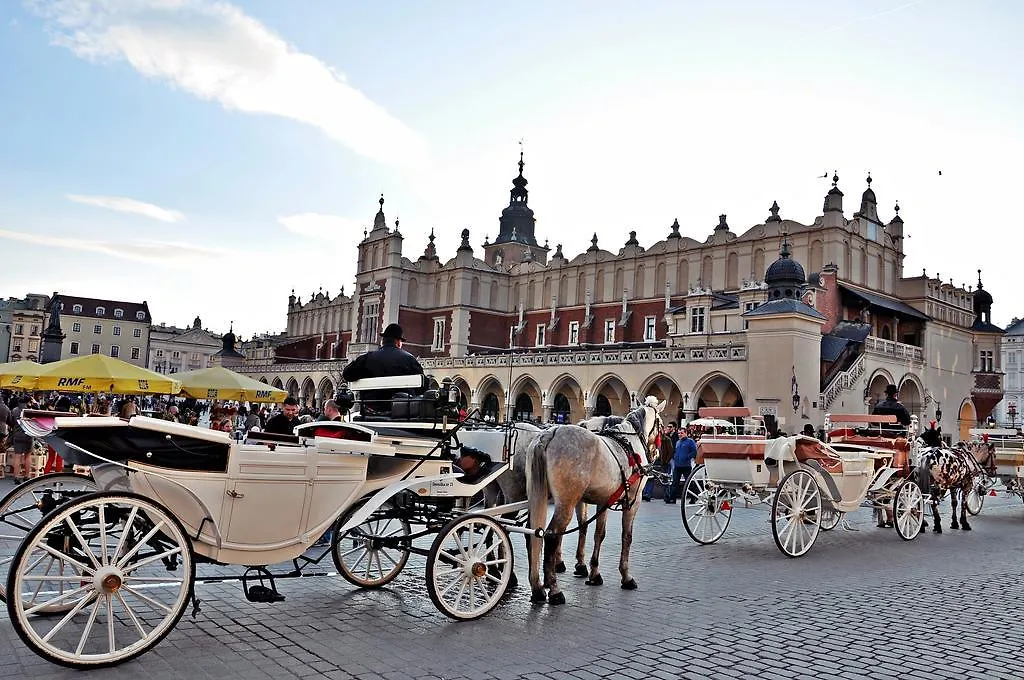 Hotel Atrium Krasków